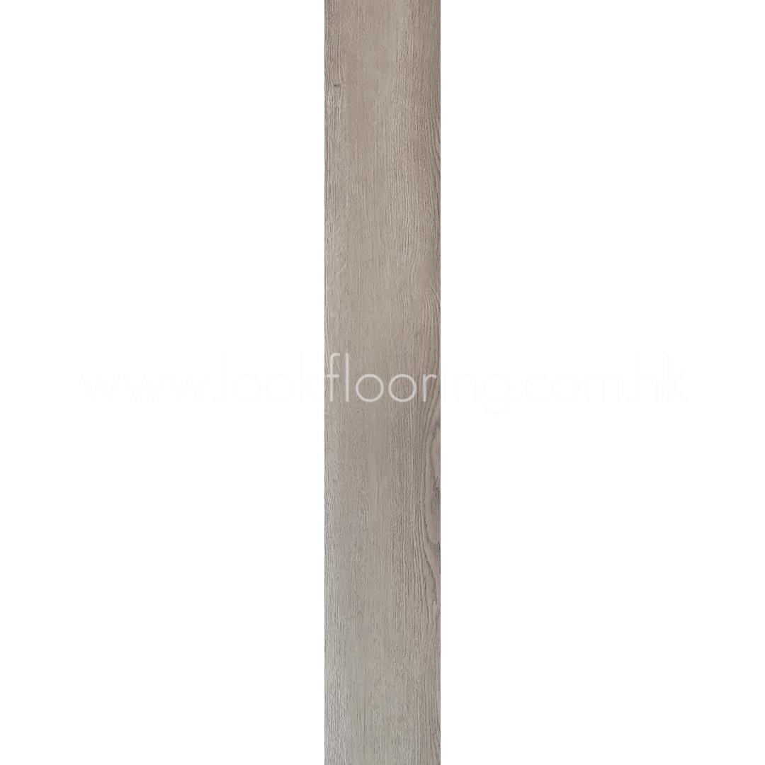 hs1009_2