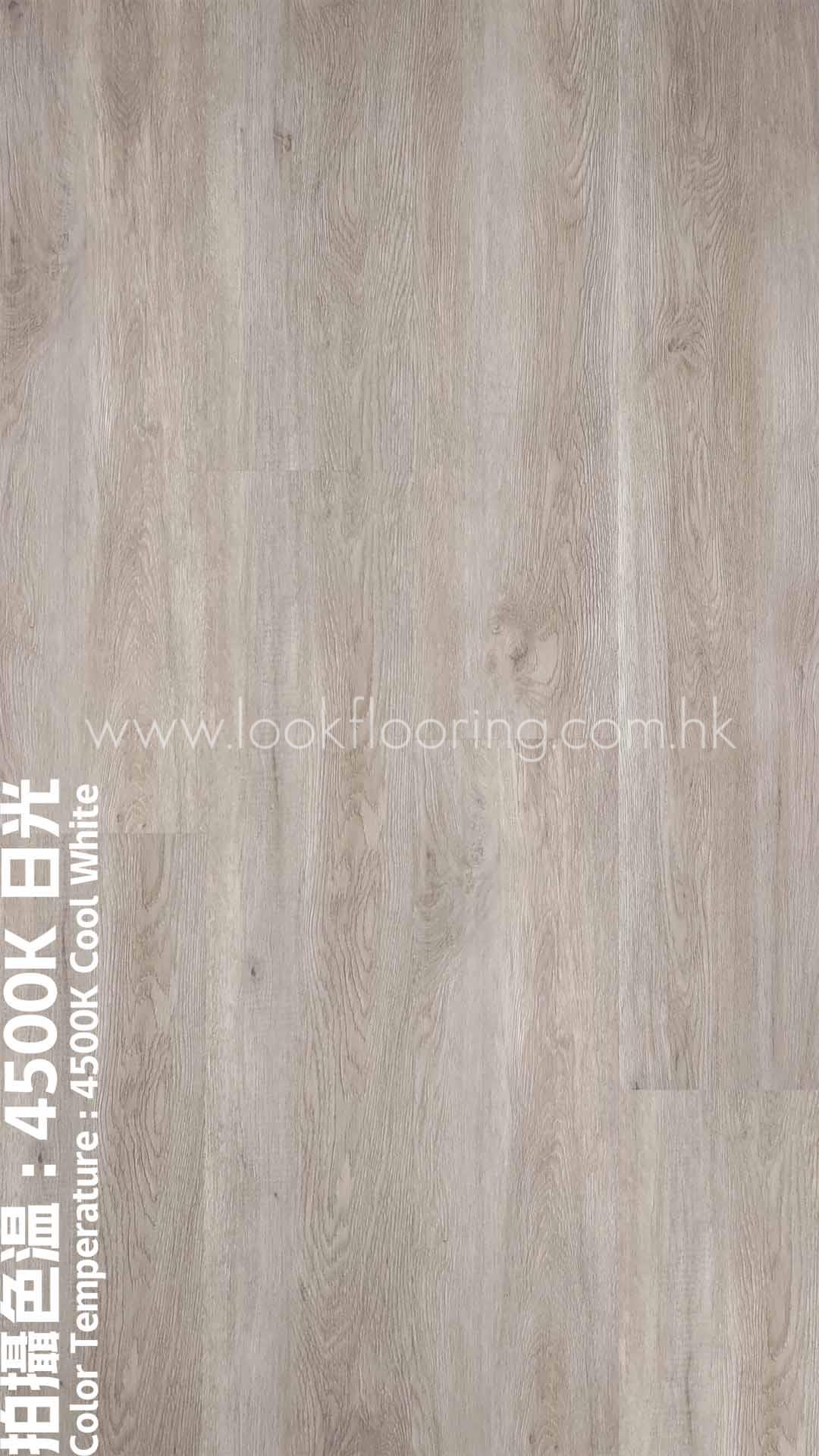 S003 4500K