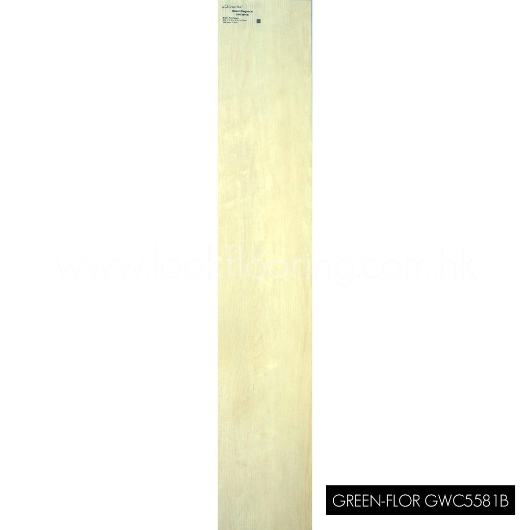 GWC5581B_2